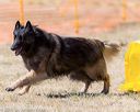 20160619-cckc-1598