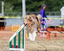 20160619-cckc-1606