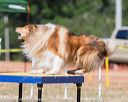 20160619-cckc-1609