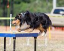 20160619-cckc-1623