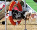 20160619-cckc-1645