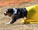 20160619-cckc-1646