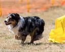 20160619-cckc-1647