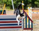 20160619-cckc-1681