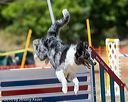 20160619-cckc-1691