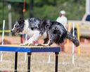 20160619-cckc-1693