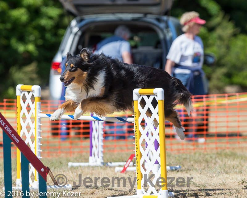 20160619-cckc-1618.jpg