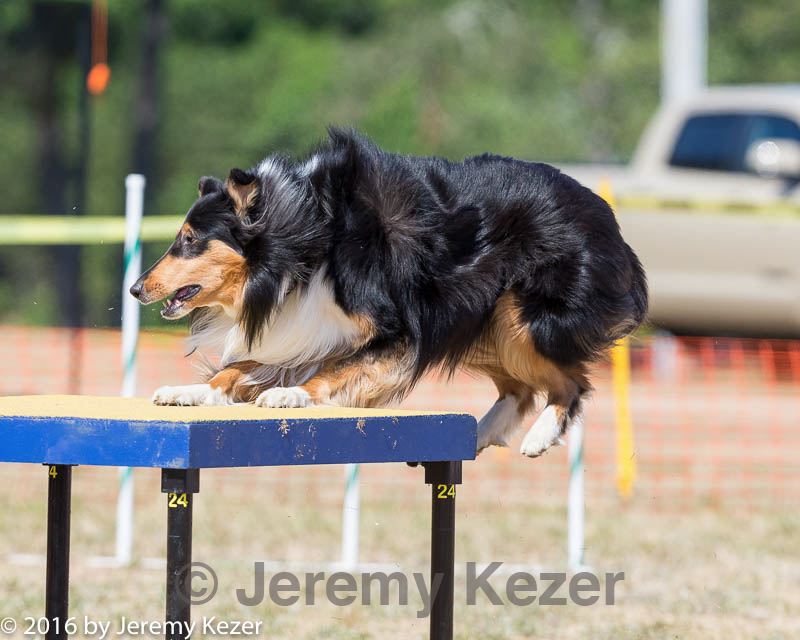 20160619-cckc-1623.jpg