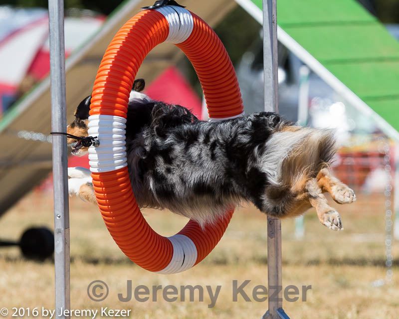20160619-cckc-1645.jpg