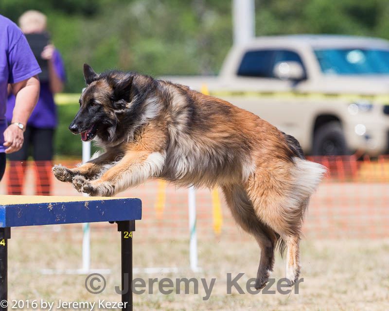 20160619-cckc-1652.jpg