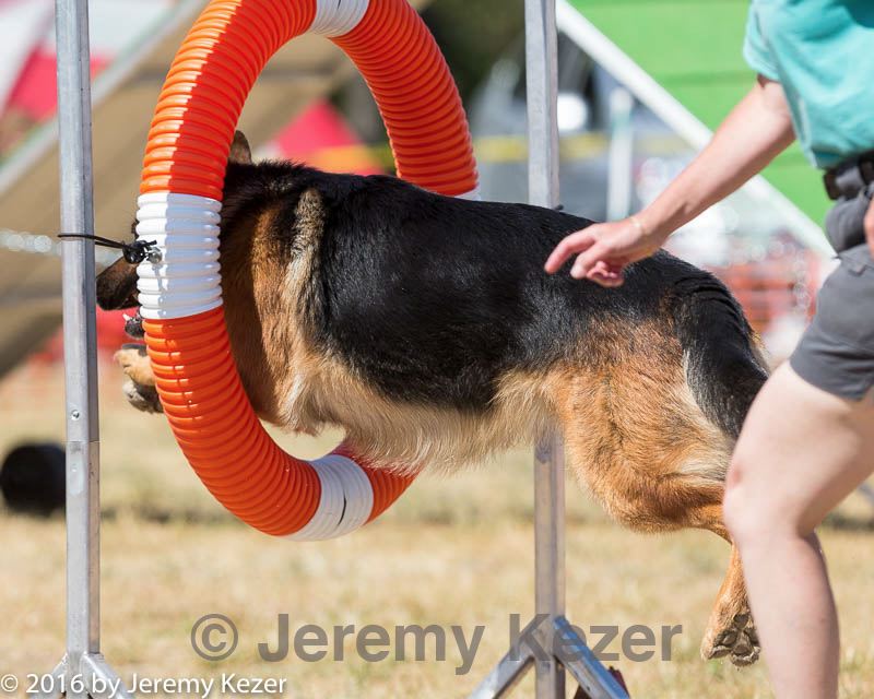20160619-cckc-1664.jpg
