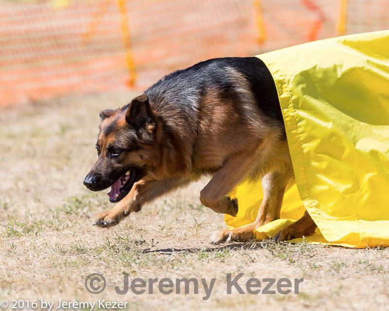 20160619-cckc-1667.jpg