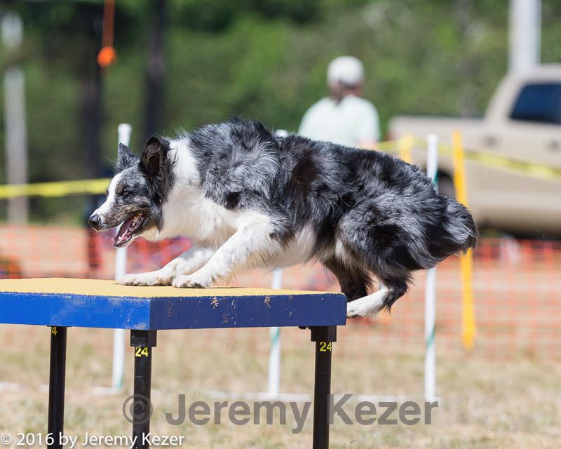 20160619-cckc-1692.jpg