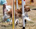 20160619-cckc-0960