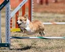 20160619-cckc-0972
