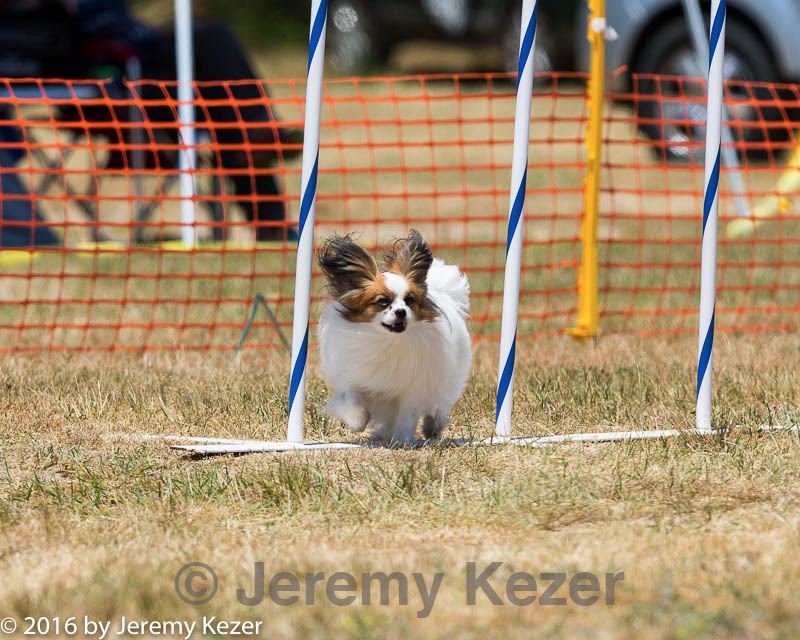 20160619-cckc-0974.jpg