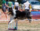 20160619-cckc-0997