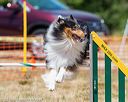 20160619-cckc-1000