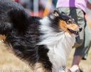 20160619-cckc-1002