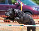 20160619-cckc-1009