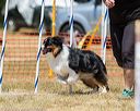 20160619-cckc-1014