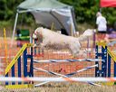 20160619-cckc-1020