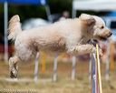 20160619-cckc-1023