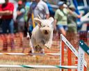 20160619-cckc-1025