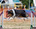 20160619-cckc-1038