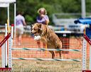 20160619-cckc-1040