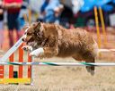 20160619-cckc-1045