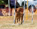 20160619-cckc-1056