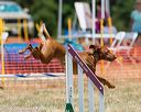 20160619-cckc-1059