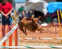 20160619-cckc-1060