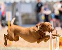 20160619-cckc-1063
