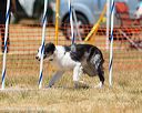 20160619-cckc-1066