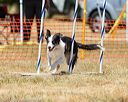 20160619-cckc-1067