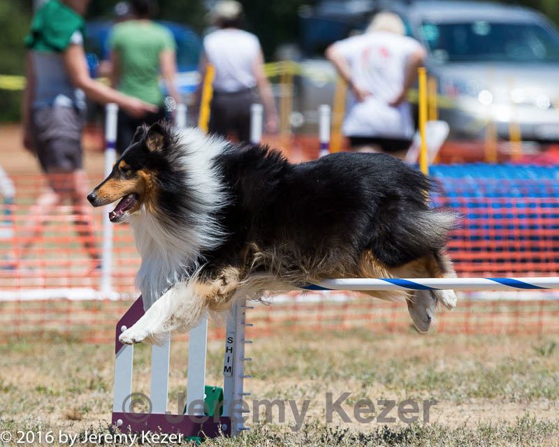 20160619-cckc-0997.jpg