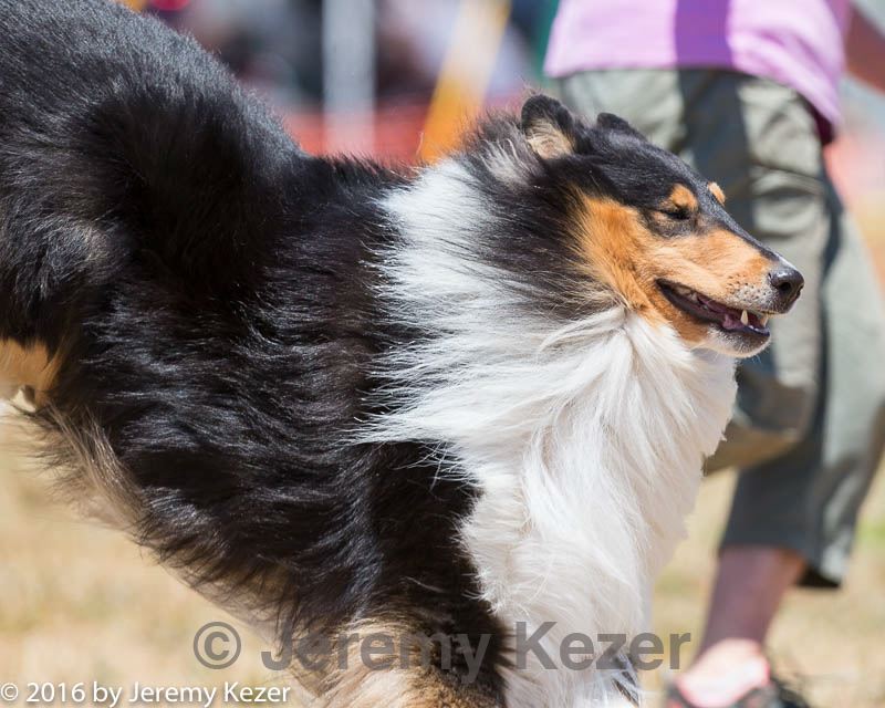 20160619-cckc-1002.jpg