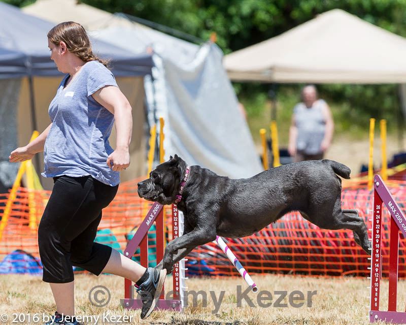 20160619-cckc-1006.jpg