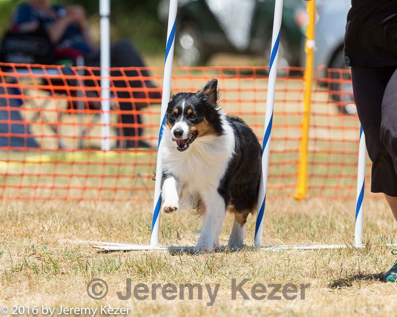 20160619-cckc-1016.jpg