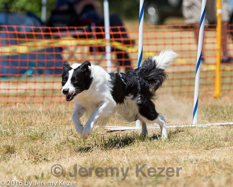 20160619-cckc-1032.jpg