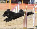 20160619-cckc-1776