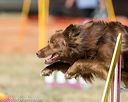 20160619-cckc-1784