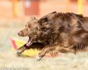 20160619-cckc-1785
