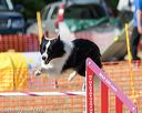 20160619-cckc-1789