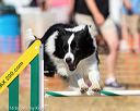20160619-cckc-1790