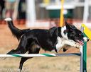 20160619-cckc-1811