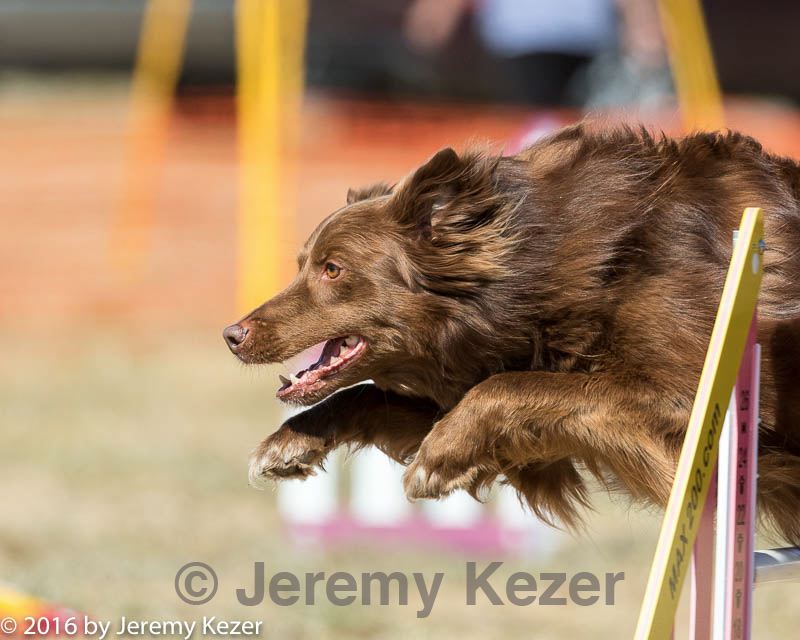 20160619-cckc-1784.jpg