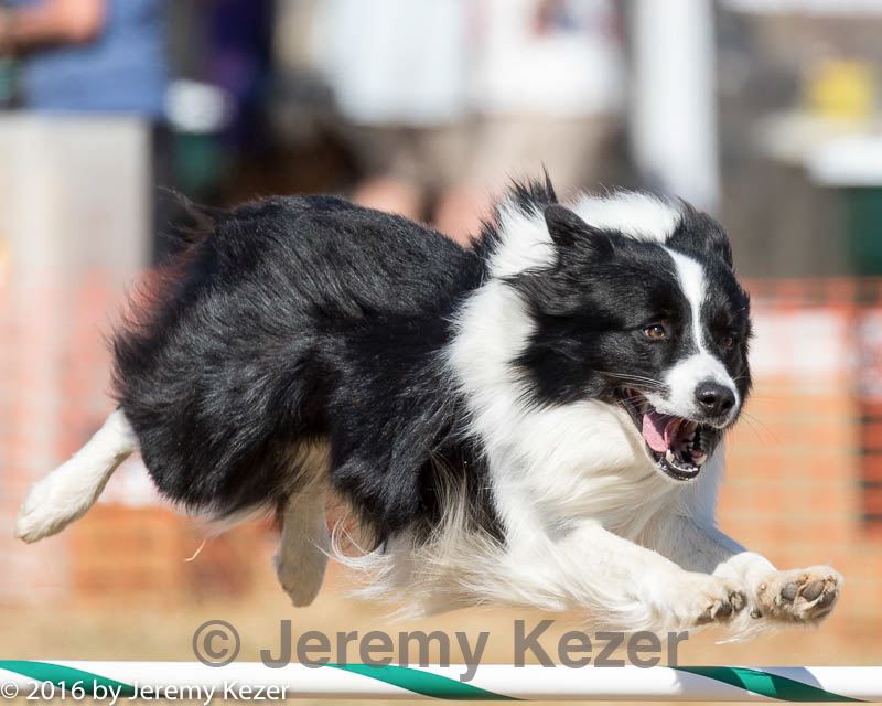 20160619-cckc-1795.jpg